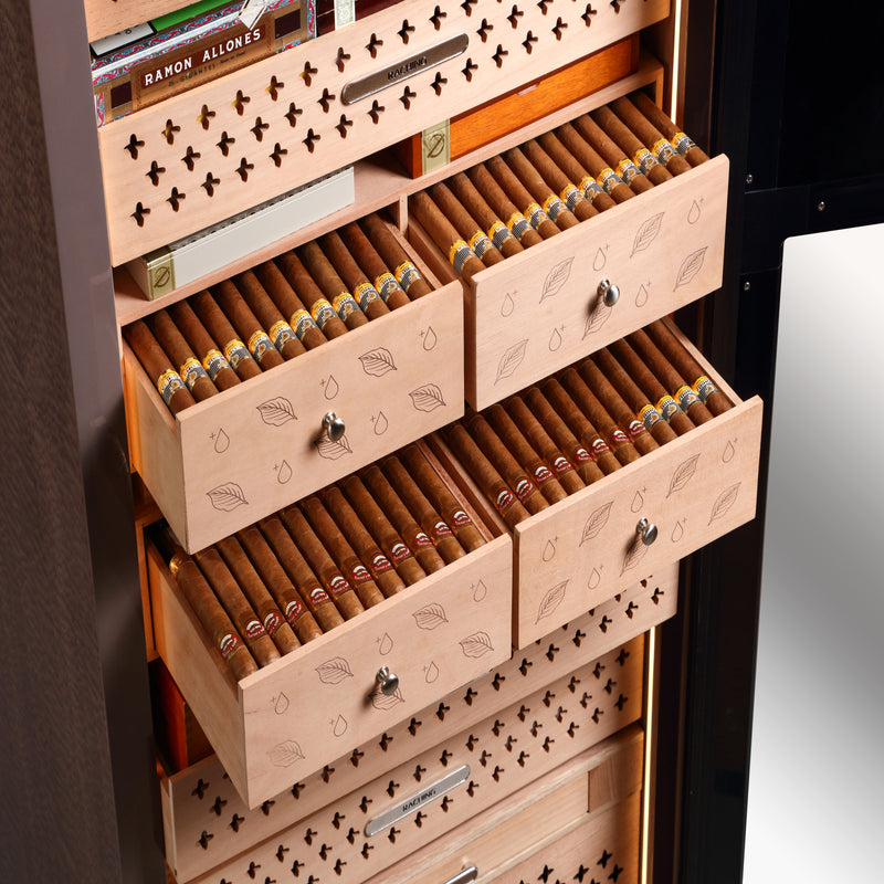 Raching RR980 – Armoire à Cigares Électrique Ultra-Luxe