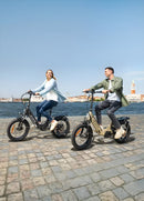 Vélo Électrique ENGWE L20 3.0 Pro