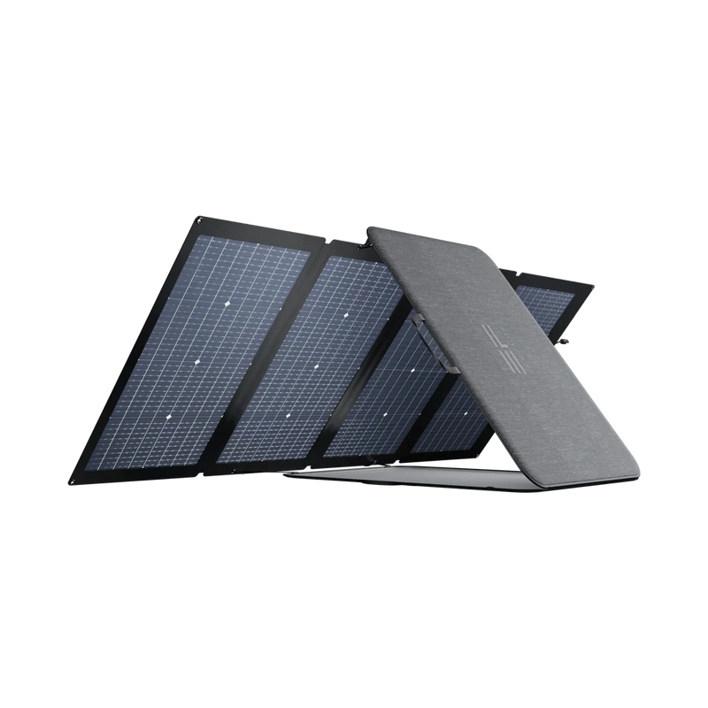 Panneau solaire bifacial EcoFlow 220 W