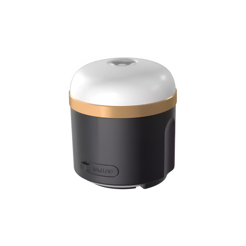 Lampe de camping EcoFlow